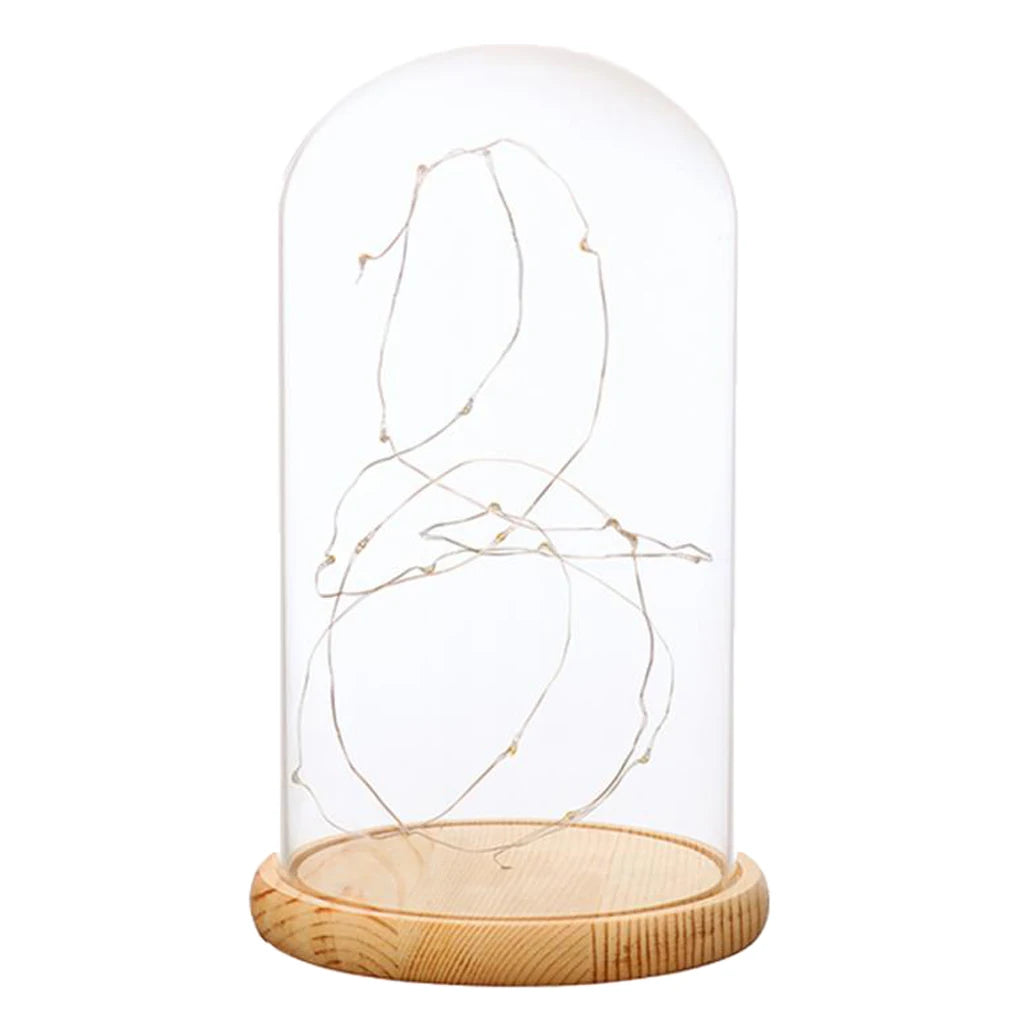 Brinkle Battery Operated LED Lights Wooden Base Clear Glass Cloche Dome Tabletop Decor for Home Decoration Gifts Party Decor