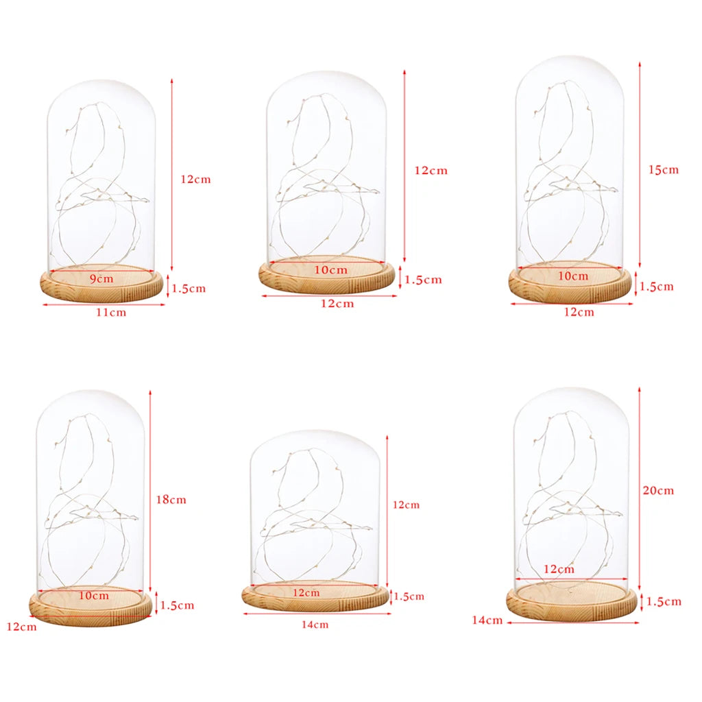 Brinkle Battery Operated LED Lights Wooden Base Clear Glass Cloche Dome Tabletop Decor for Home Decoration Gifts Party Decor
