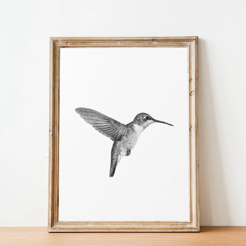 Bird Poster Print Minimalist Wall Art Picture Canvas Painting Black and White Hummingbird Photography Scandinavian Home Decor