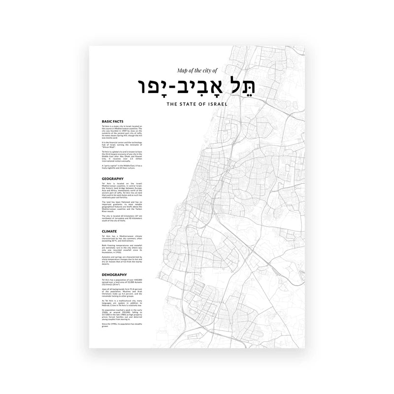 Tel Aviv Map Print Israel City Street Road Map Poster Black White Minimalist Wall Pictures Nordic Style Canvas Painting Decor