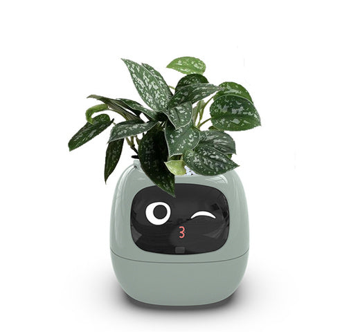 Smart Ai Pet Planter